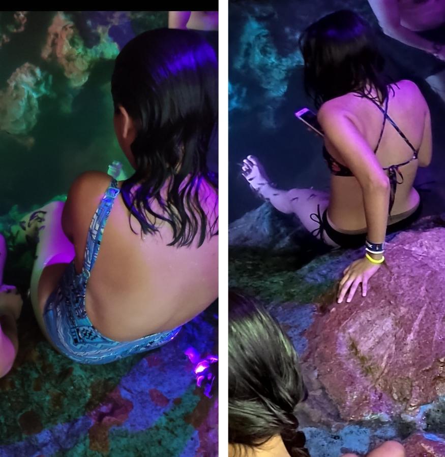 Azcapri Villa Boutique & Spa Cancun Dış mekan fotoğraf