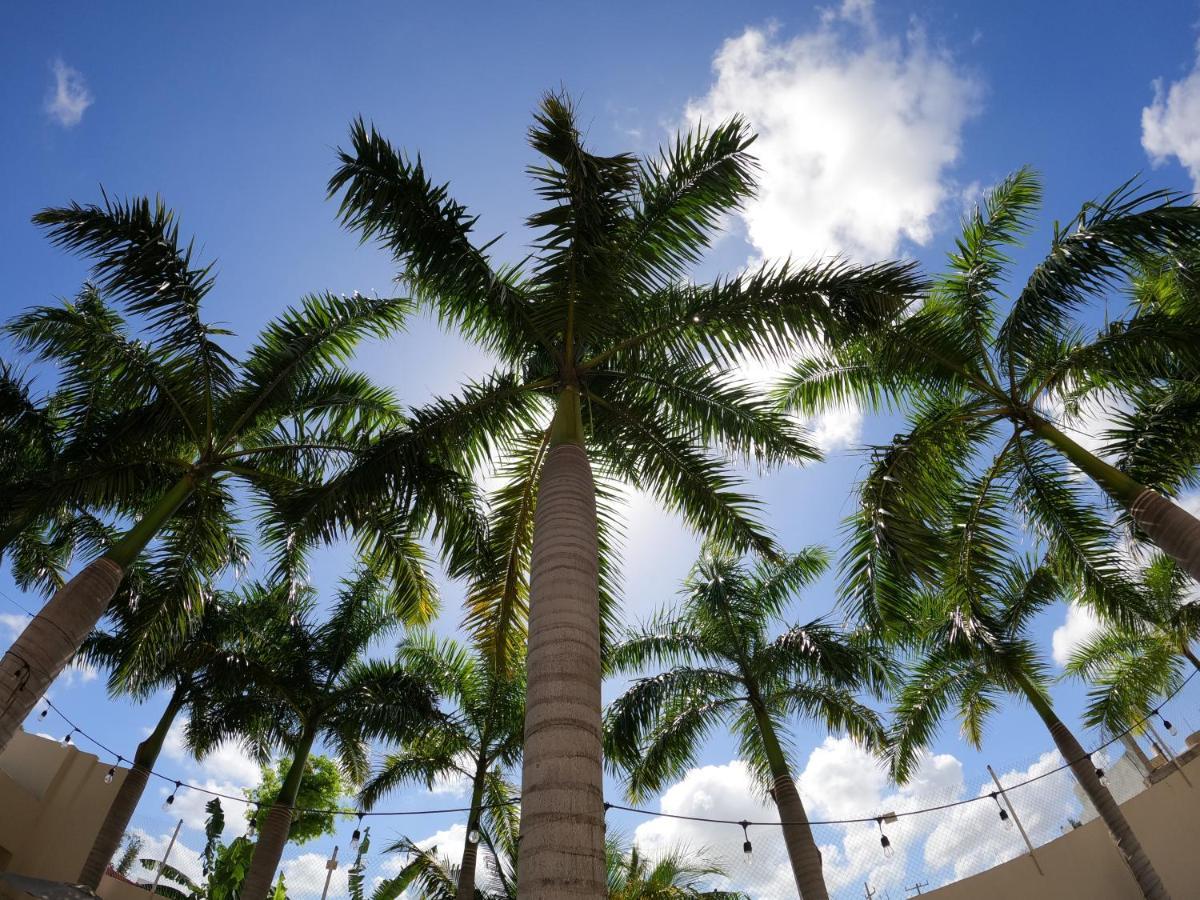Azcapri Villa Boutique & Spa Cancun Dış mekan fotoğraf