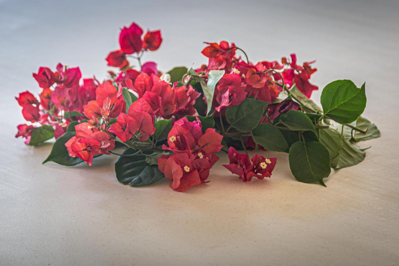 Azcapri Villa Boutique & Spa Cancun Dış mekan fotoğraf